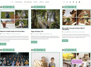 LinkPizza screenshot