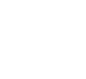 logo icon LinkPizza