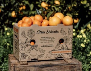 Citrus-Sebastia-Mandarijnen-managed-influencer-campaign