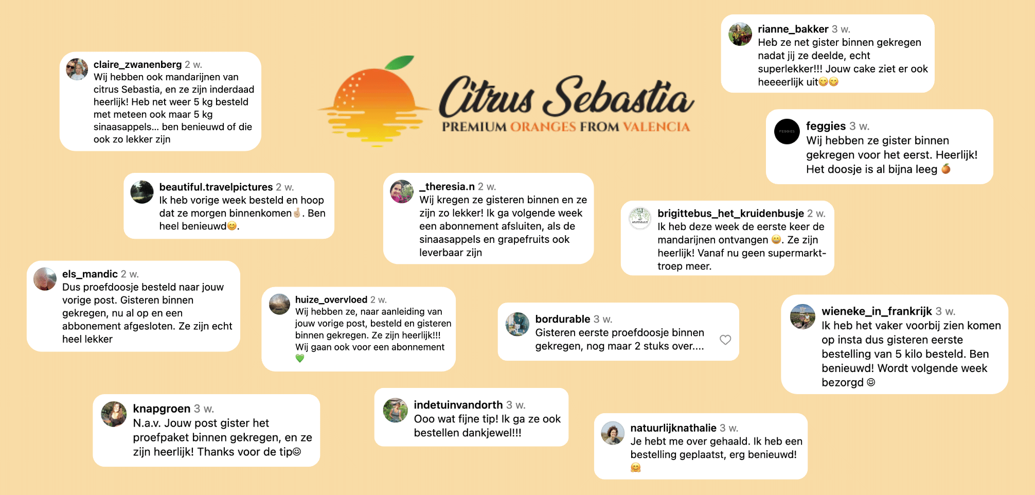 Engagement campagne Citrus Sebastia