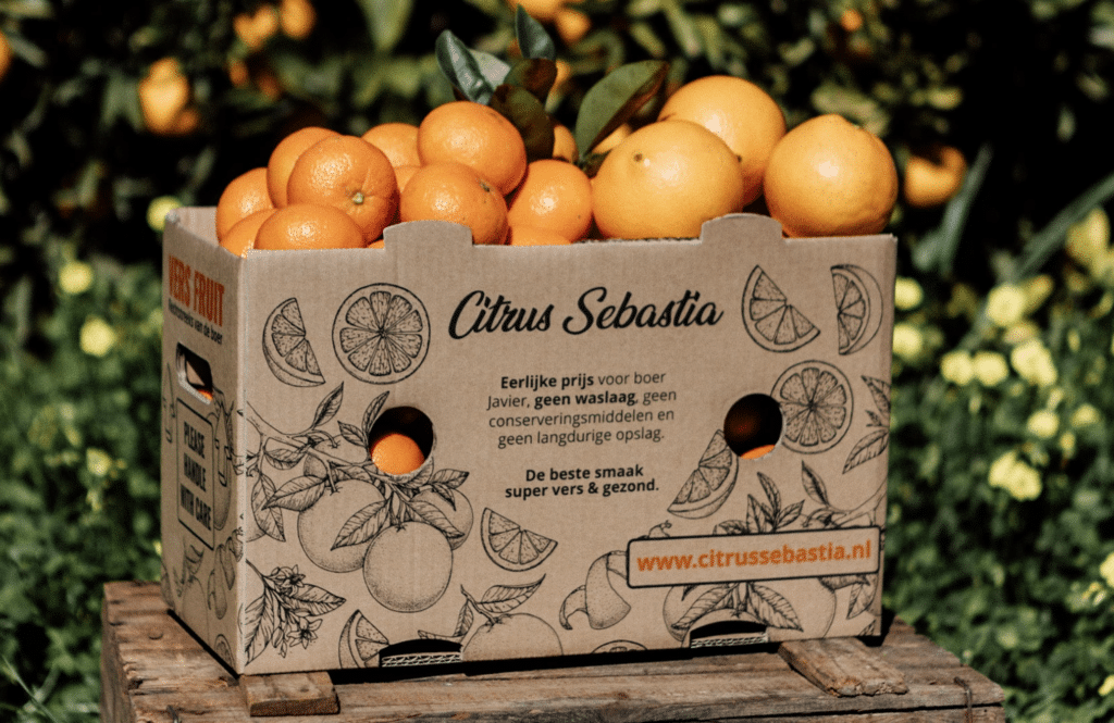 citrus-sebastia-influencer-case